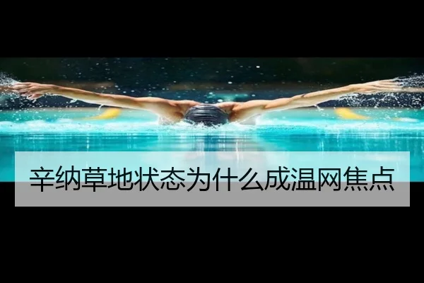 辛纳草地状态为什么成温网焦点