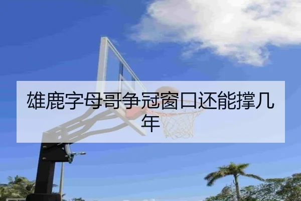 雄鹿字母哥争冠窗口还能撑几年