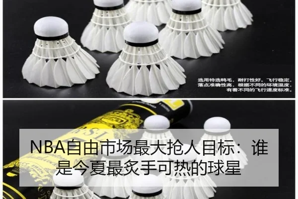 NBA自由市场最大抢人目标：谁是今夏最炙手可热的球星